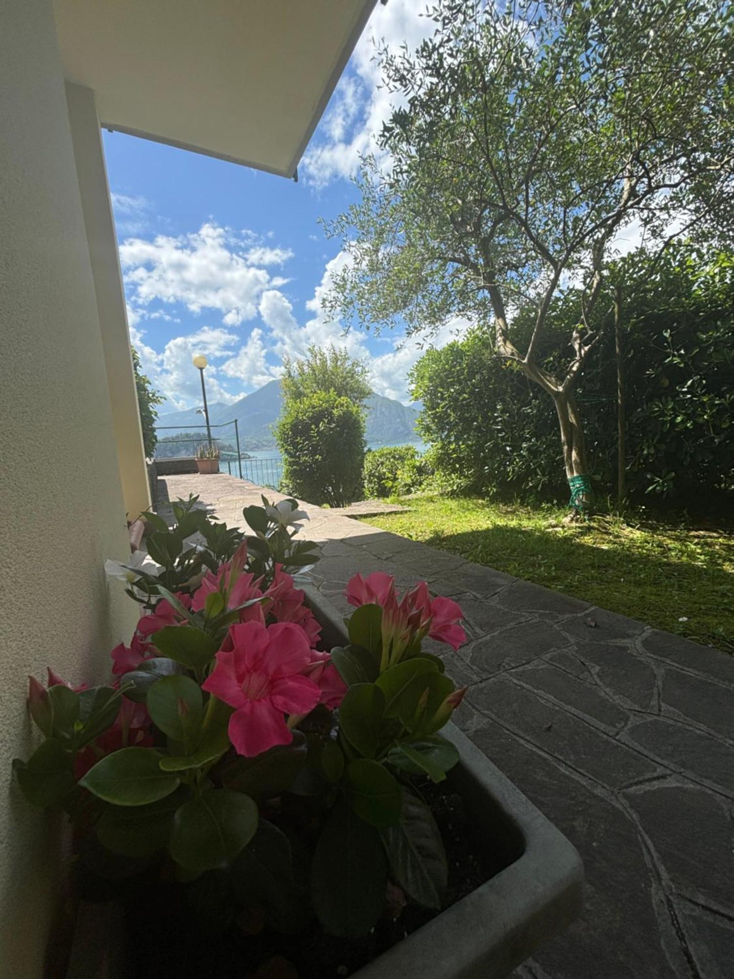 Ortensia Lake Como - Perfect For Couple And Pets Varenna Buitenkant foto